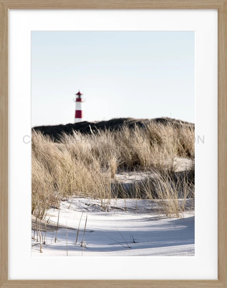 Poster ’Dünen’ Sylt SY68 - Wandbilder