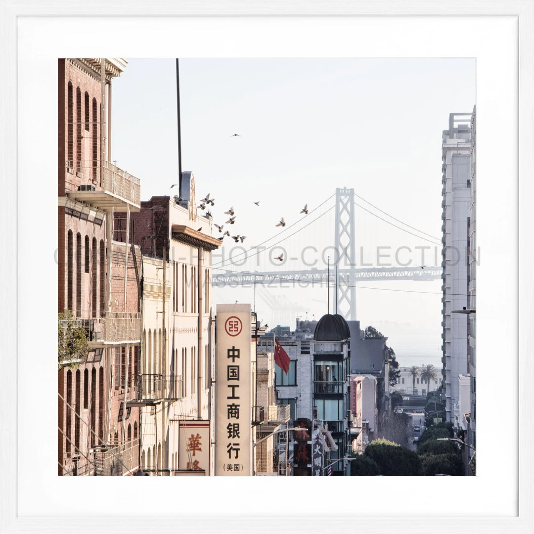 Poster ’Bay Bridge’ San Francisco SF06Q - Weiss 1.5cm