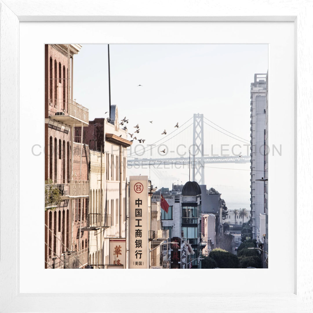 Poster ’Bay Bridge’ San Francisco SF06Q - Weiss 3cm