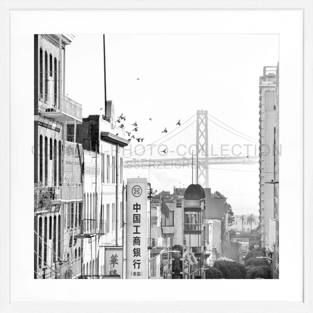 Poster ’Bay Bridge’ San Francisco SF06Q - Weiss 1.5cm