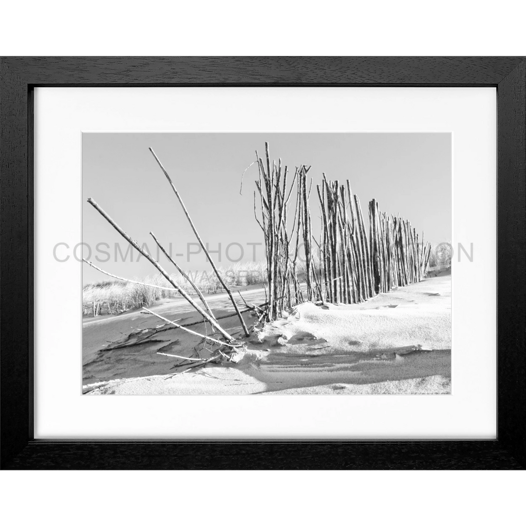 Schwarz-weißes Foto von Baumstämmen am Schneeufer, Poster Beach Sylt SY70