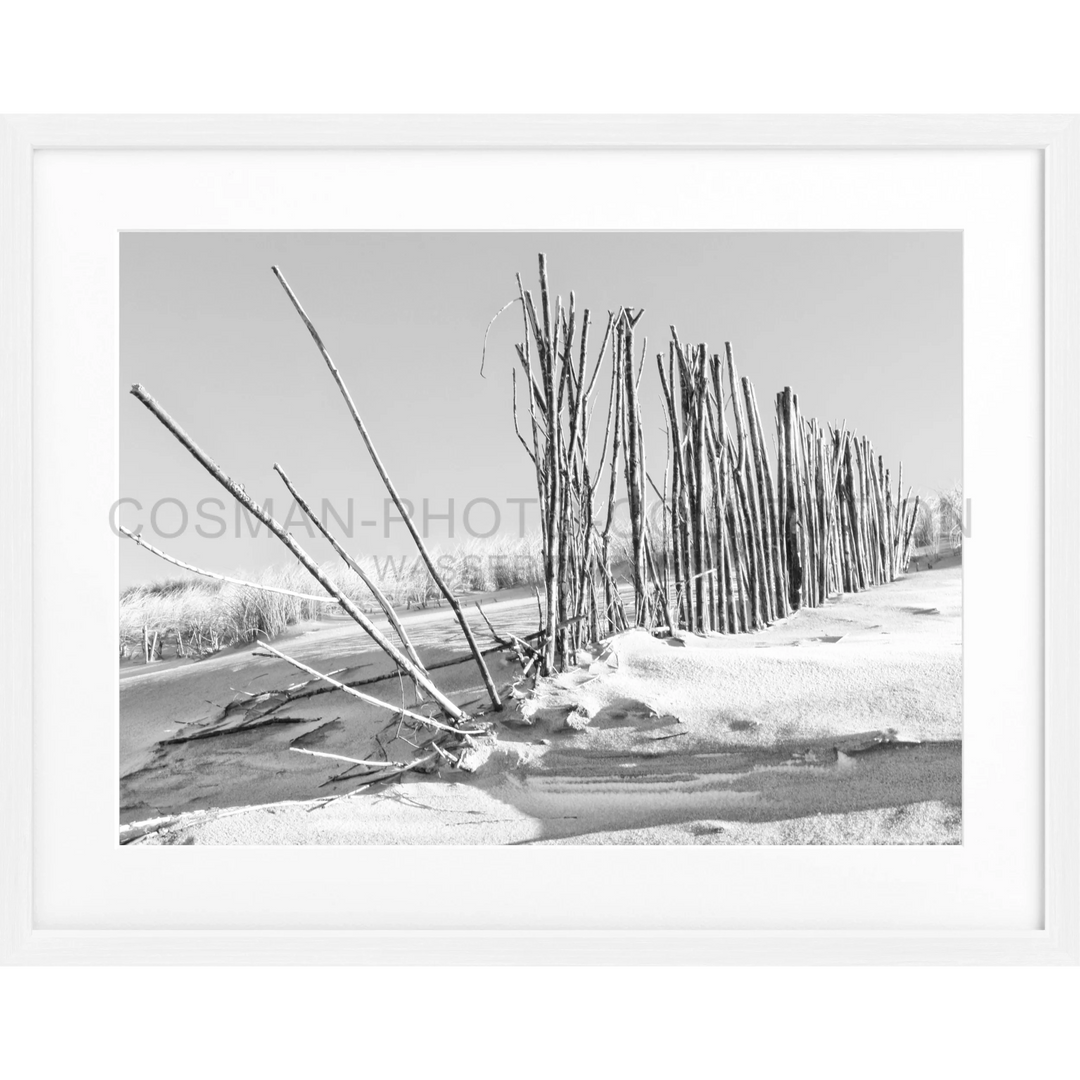 Reihe kahler Winterbäume am verschneiten Flussufer in Poster Beach Sylt SY70