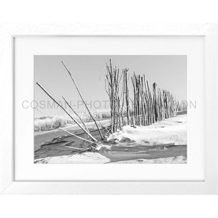 Schwarz-weiß-Foto von schneebedeckten, geneigten Winterbäumen im Poster Beach Sylt SY70