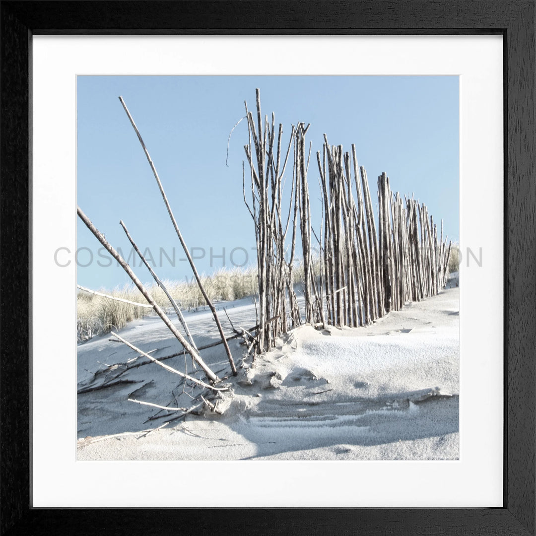 Wettergegerbte Holzpfähle im Schnee und Eis auf Poster Beach Sylt SY70Q