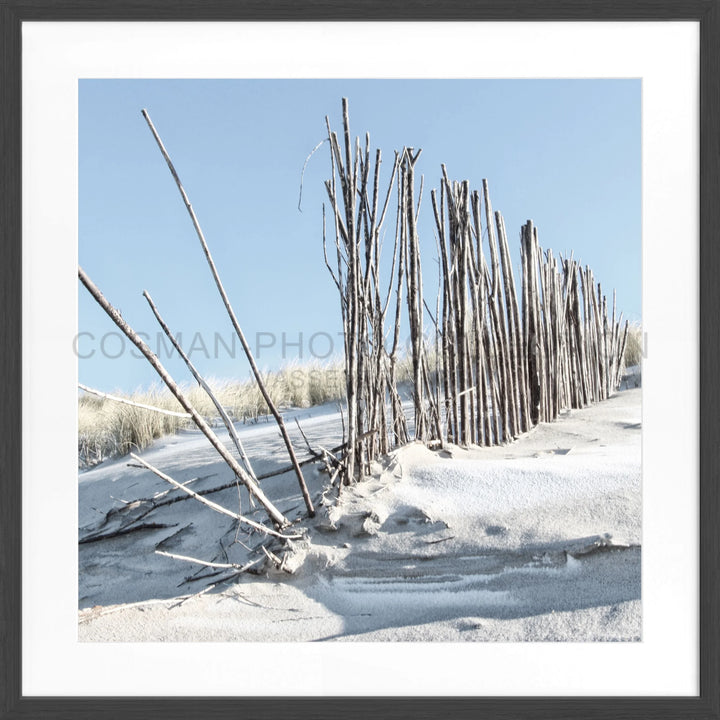 Wettergegerbte Holzpfähle im Schnee und Eis für Poster Beach Sylt SY70Q