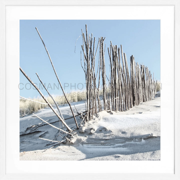 Reihe von nackten Holzpfählen, die im Schnee und Eis stehen, Poster Beach Sylt SY70Q