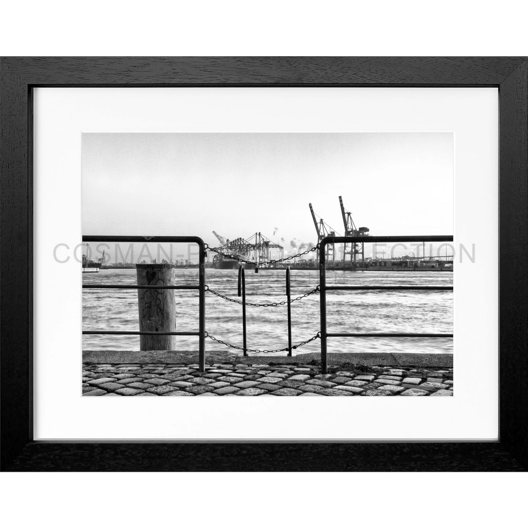 Schwarz-weißes Poster Hamburg Hafen Zaun mit Blick auf Hafenkräne am Wasser