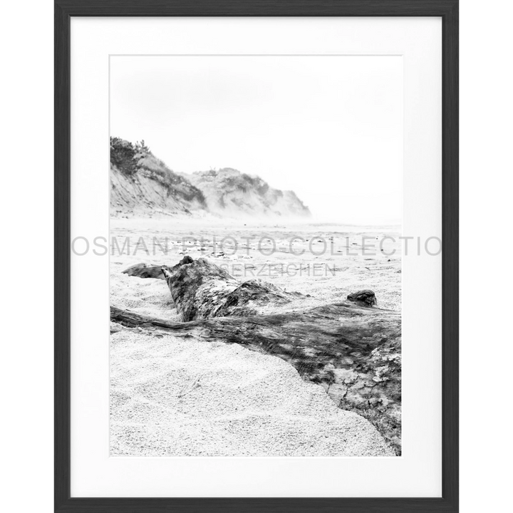 Schwarz-weiß-Fotografie einer felsigen Küstenlinie für Poster Hamptons Long Island Beach HM17