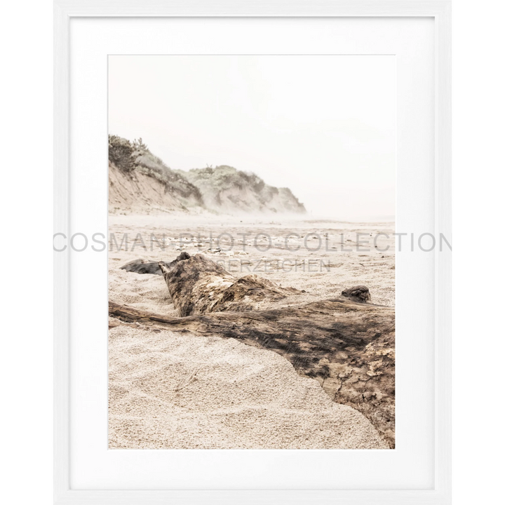 Driftwood log on sandy beach in Poster Hamptons Long Island Beach HM17