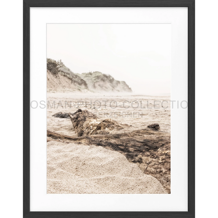 Driftwood log on sandy beach in Poster Hamptons Long Island Beach HM17