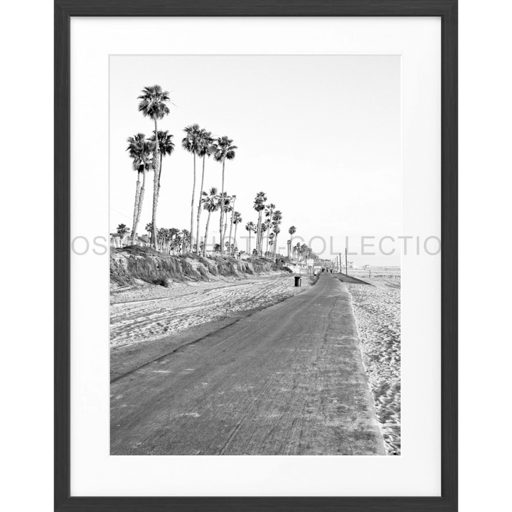 Schwarz-weiße Fotografie einer Küstenstraße mit hohen Palmen für Poster Kalifornien Huntington Beach K153