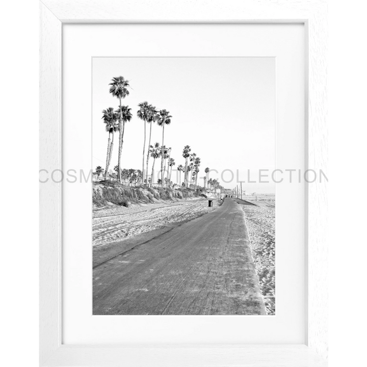 Schwarz-weiß Foto einer palmengesäumten Straße, Poster Kalifornien Huntington Beach K153