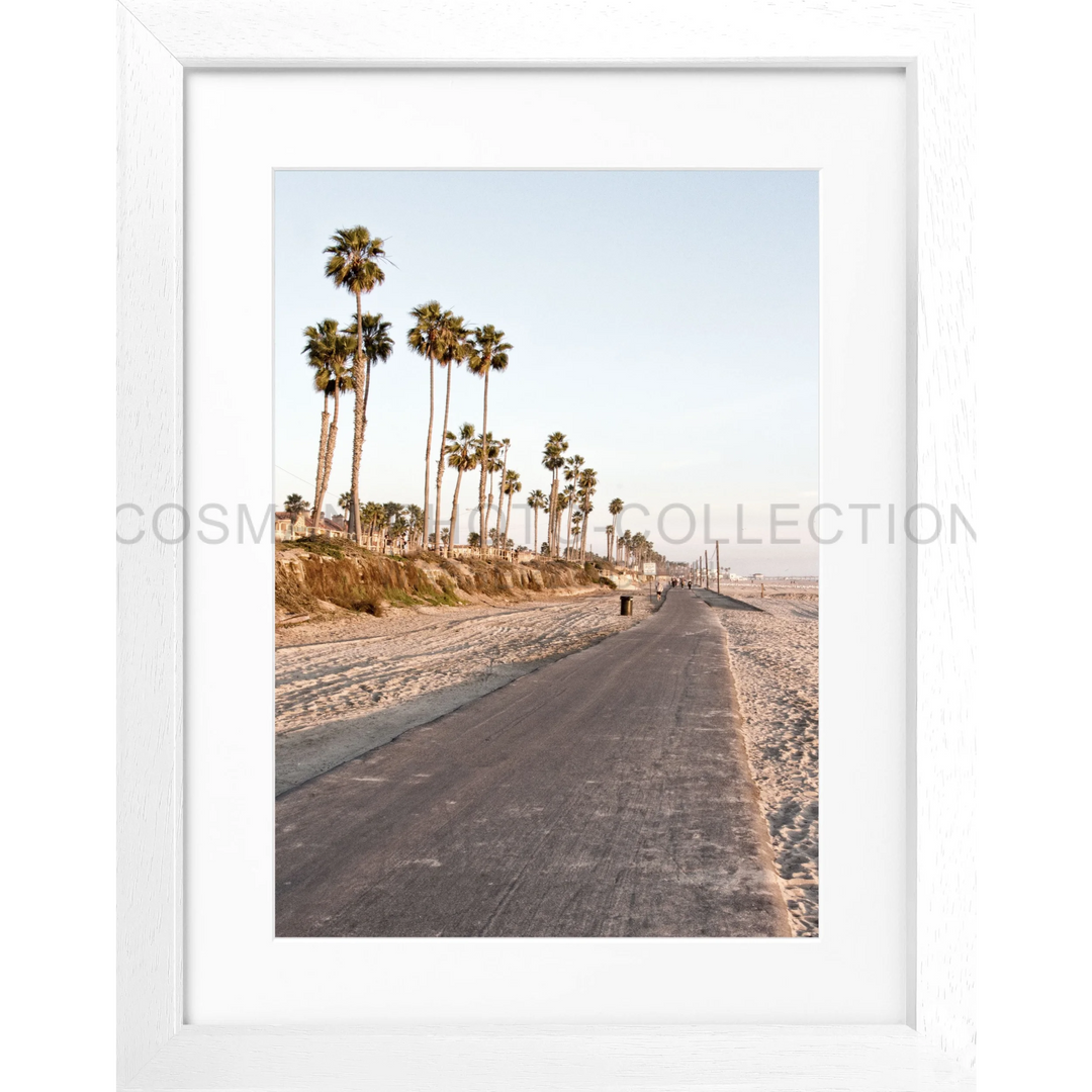 Küstenstraße mit hohen Palmen auf dem Poster Kalifornien Huntington Beach K153