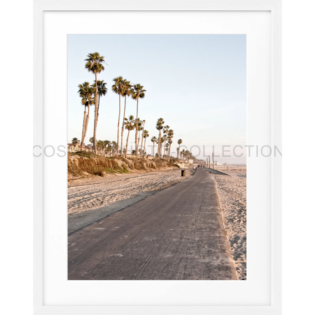 Küstenstraße mit hohen Palmen im Poster Kalifornien Huntington Beach K153