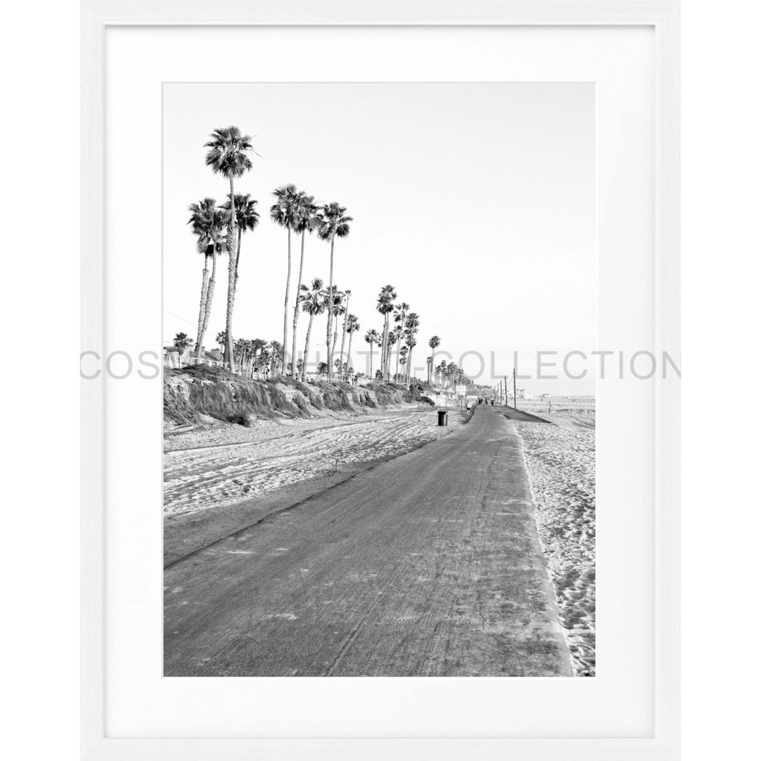 Palmbaum gesäumte Küstenstraße, die sich in die Ferne erstreckt, Poster Kalifornien Huntington Beach K153