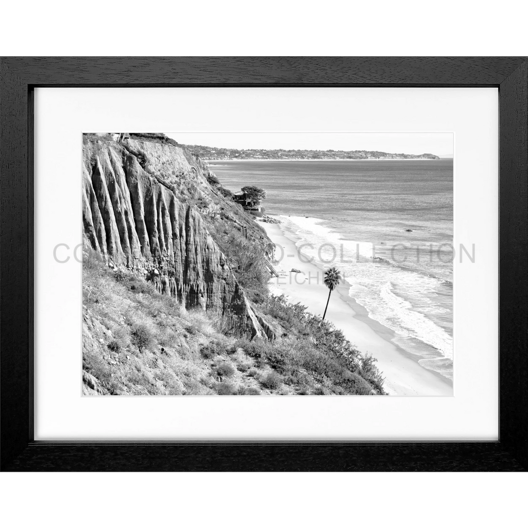 Schwarzweißfoto einer Küstenklippe mit einer einsamen Palme am Strand in Malibu