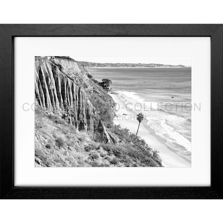 Schwarzweißfoto einer Küstenklippe mit einer einsamen Palme am Strand in Malibu