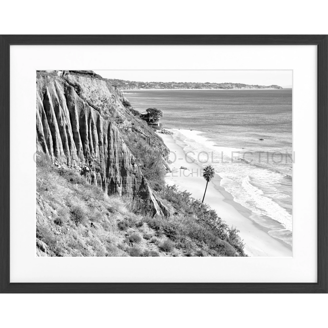 Schwarz-weiß-Foto eines Küstenkliffs mit Erosion und einsamer Palme in Malibu