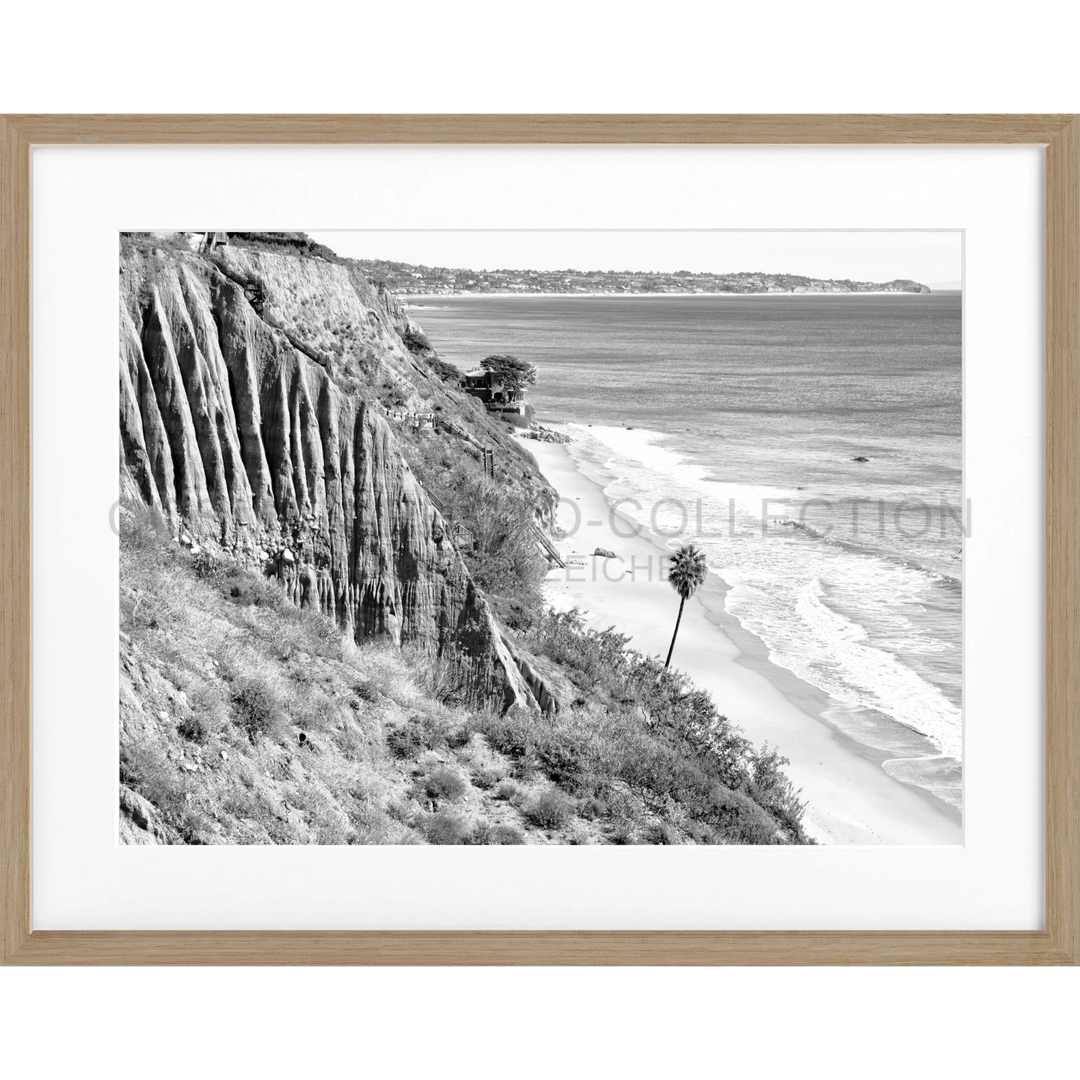 Schwarz-weiß-Foto einer Küstenklippe mit einer einsamen Palme in Malibu