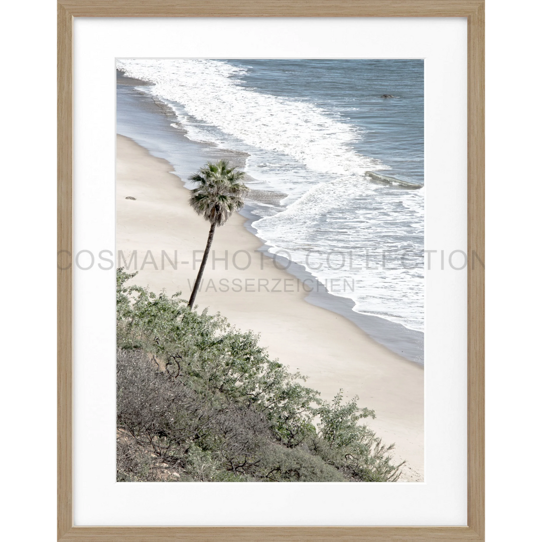 Einsame Palmen auf einem Sandstrand in Malibu, Kalifornien, für Poster Kalifornien Malibu K64