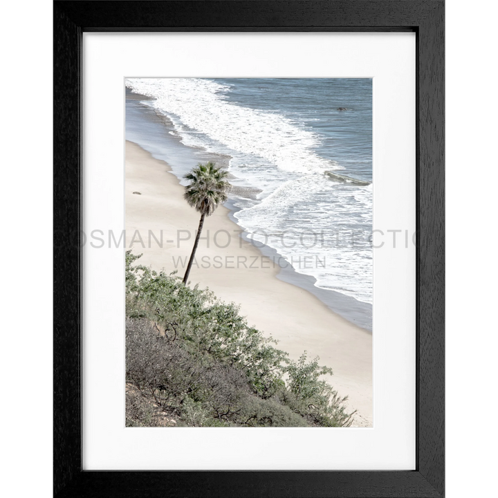 Einsamer Palmbaum am Sandstrand mit Ozeanwellen für Poster Kalifornien Malibu K64