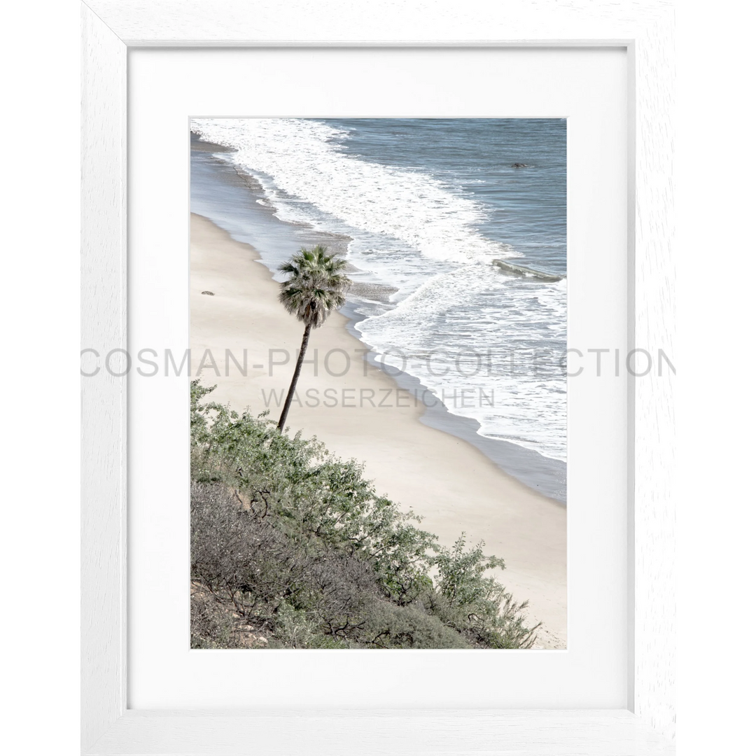 Einsame Palme am Strand von Malibu mit Wellen des Ozeans für Poster Kalifornien K64