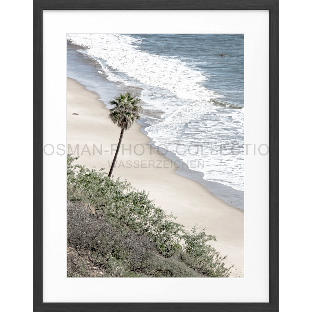 Einsame Palme am Sandstrand mit Ozeanwellen für Poster Kalifornien Malibu K64