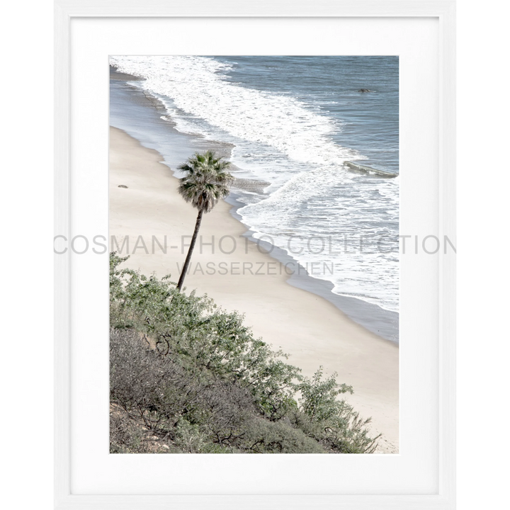 Einsamer Palmbaum am Sandstrand von Kalifornien Malibu im Poster Kalifornien Malibu K64