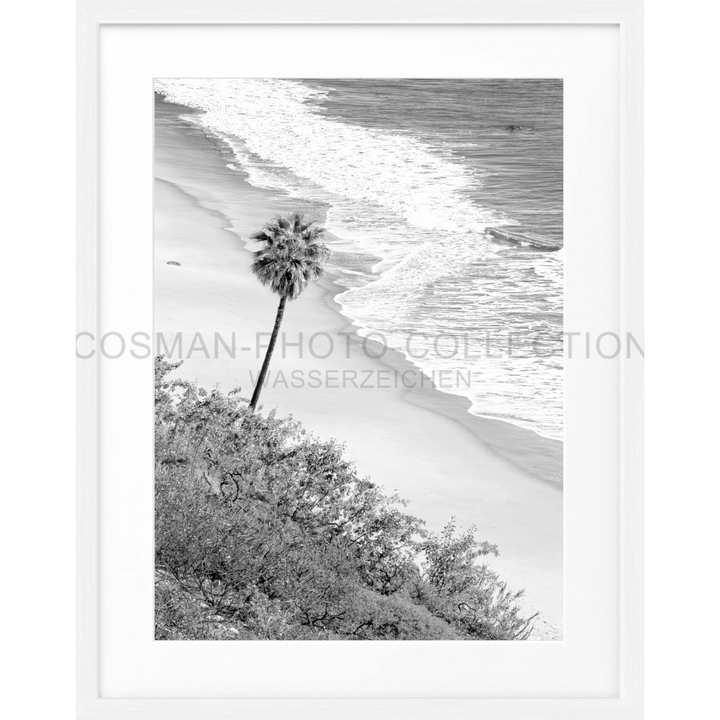 Ein einsamer Palmenbaum am Strand von Malibu für den Poster Kalifornien Malibu K64