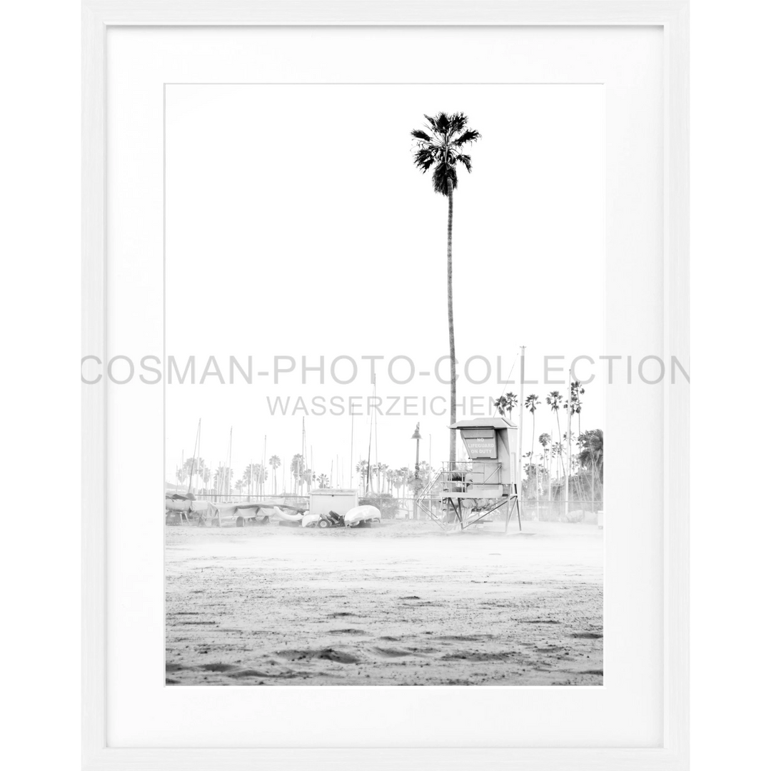 Hohe Palme allein am Strand, Poster Kalifornien Santa Barbara Beach K22