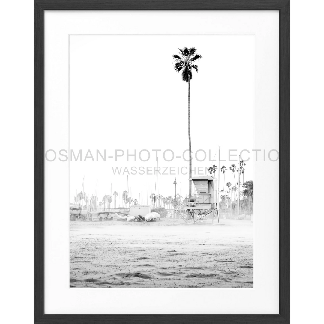 Hoher Palmbaum mit schlanken Stamm und Blättern oben auf Poster Kalifornien Santa Barbara Beach K22