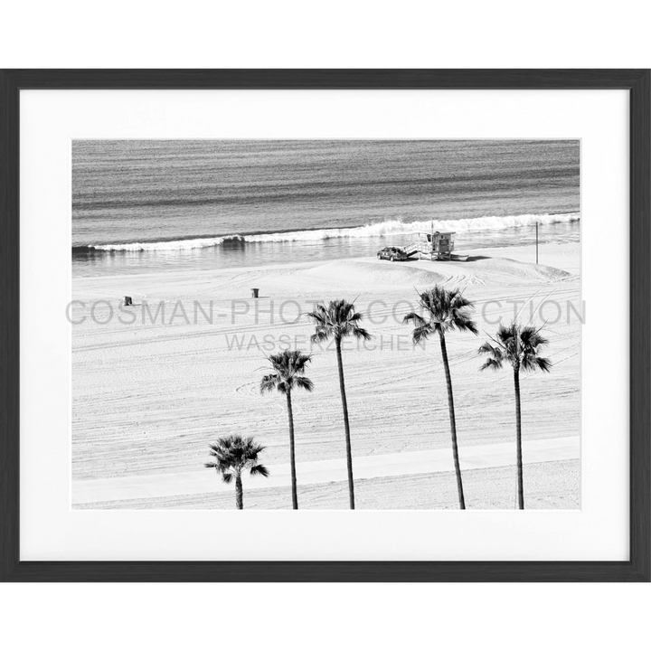 Silhouetten von Palmen am Strand in Schwarz-Weiß für Poster Kalifornien Santa Monica