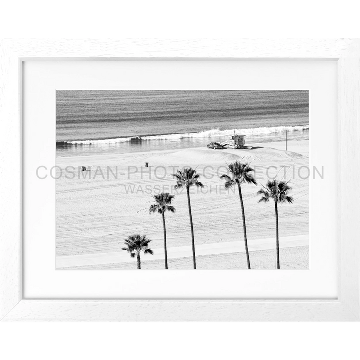 Schwarzweißfotografie von Palmen am Strand, Poster Kalifornien Santa Monica Beach K100