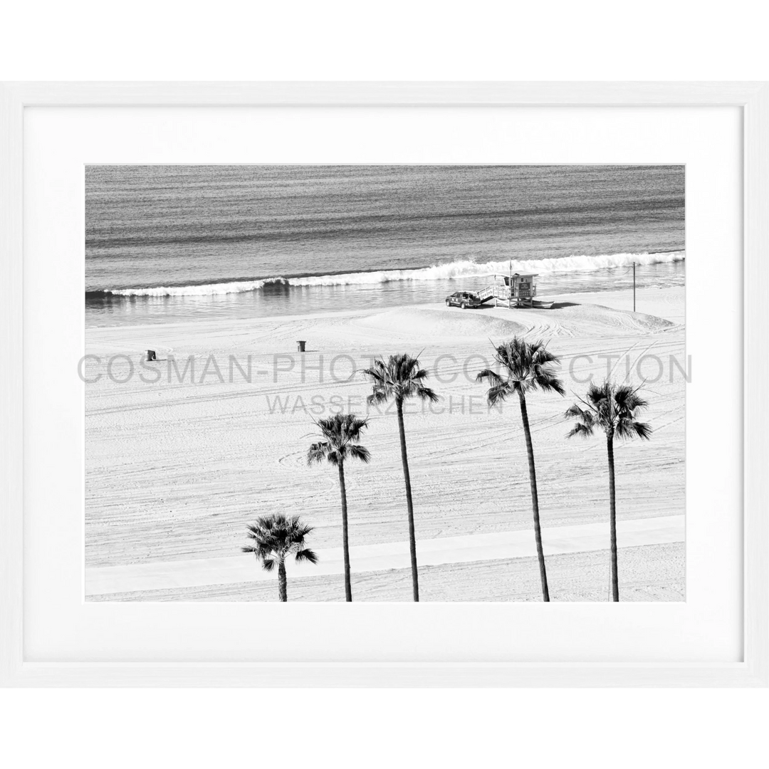 Silhouetten von Palmen am Strand in Schwarz-Weiß für Poster Kalifornien Santa Monica