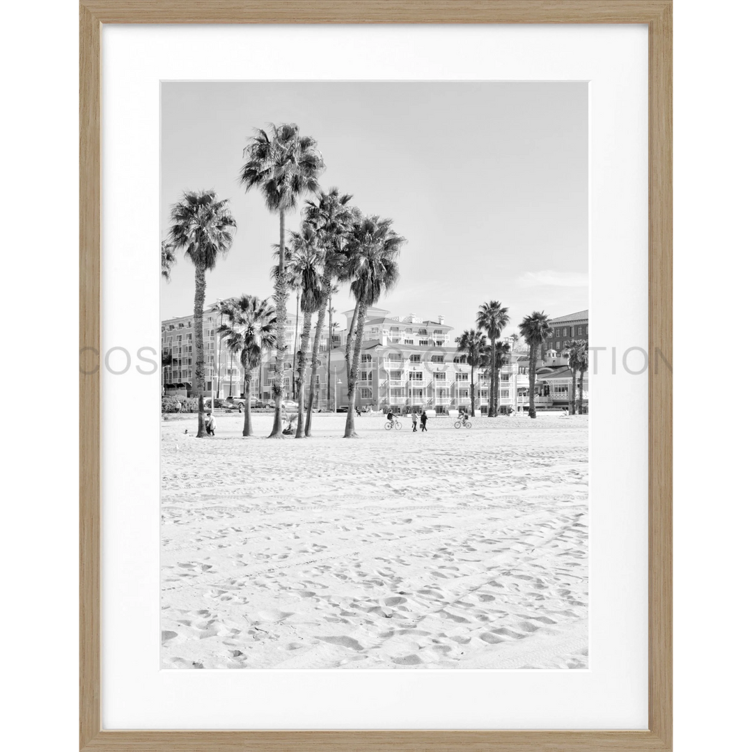 Palmen an einem Sandstrand in Schwarzweiß für Poster Kalifornien Santa Monica Beach K111