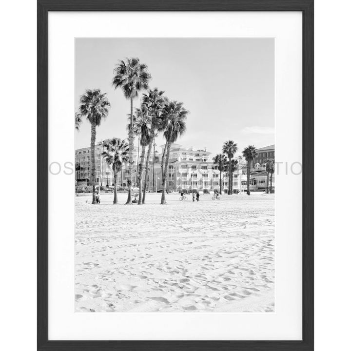 Palm trees auf einem Sandstrand in Schwarz-Weiß für Poster Kalifornien Santa Monica