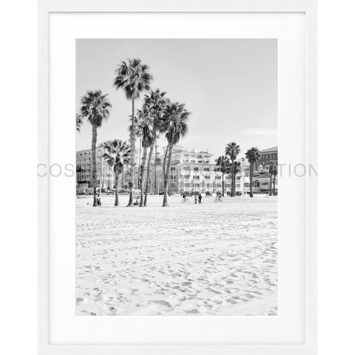 Palm trees am Sandstrand in Schwarzweiß für Poster Kalifornien Santa Monica Beach K111