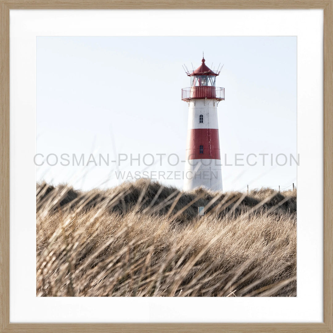 Poster ’Leuchtturm List’ Sylt SY71Q - Eiche Furnier