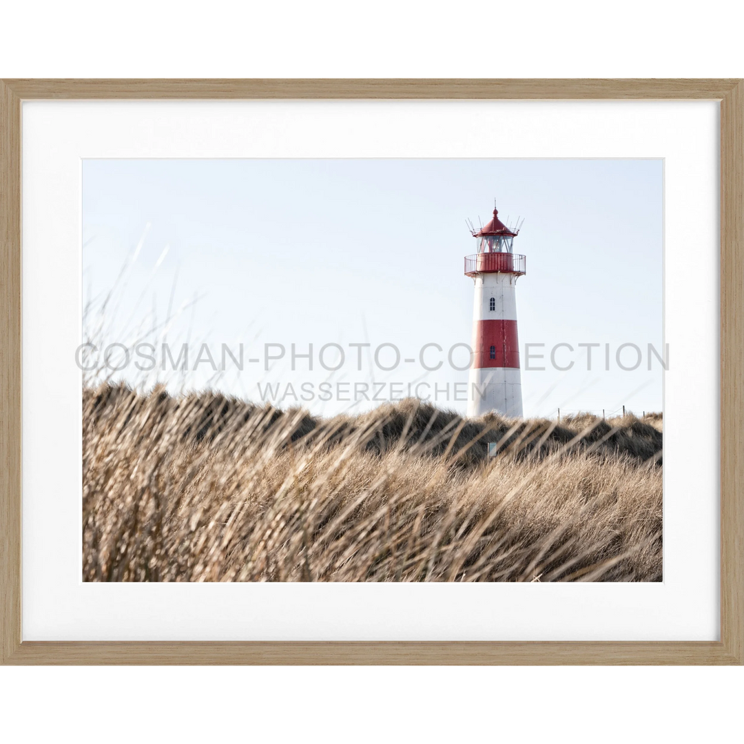 Poster Lister Leuchtturm Sylt SY71 - Eiche Furnier 1.5cm