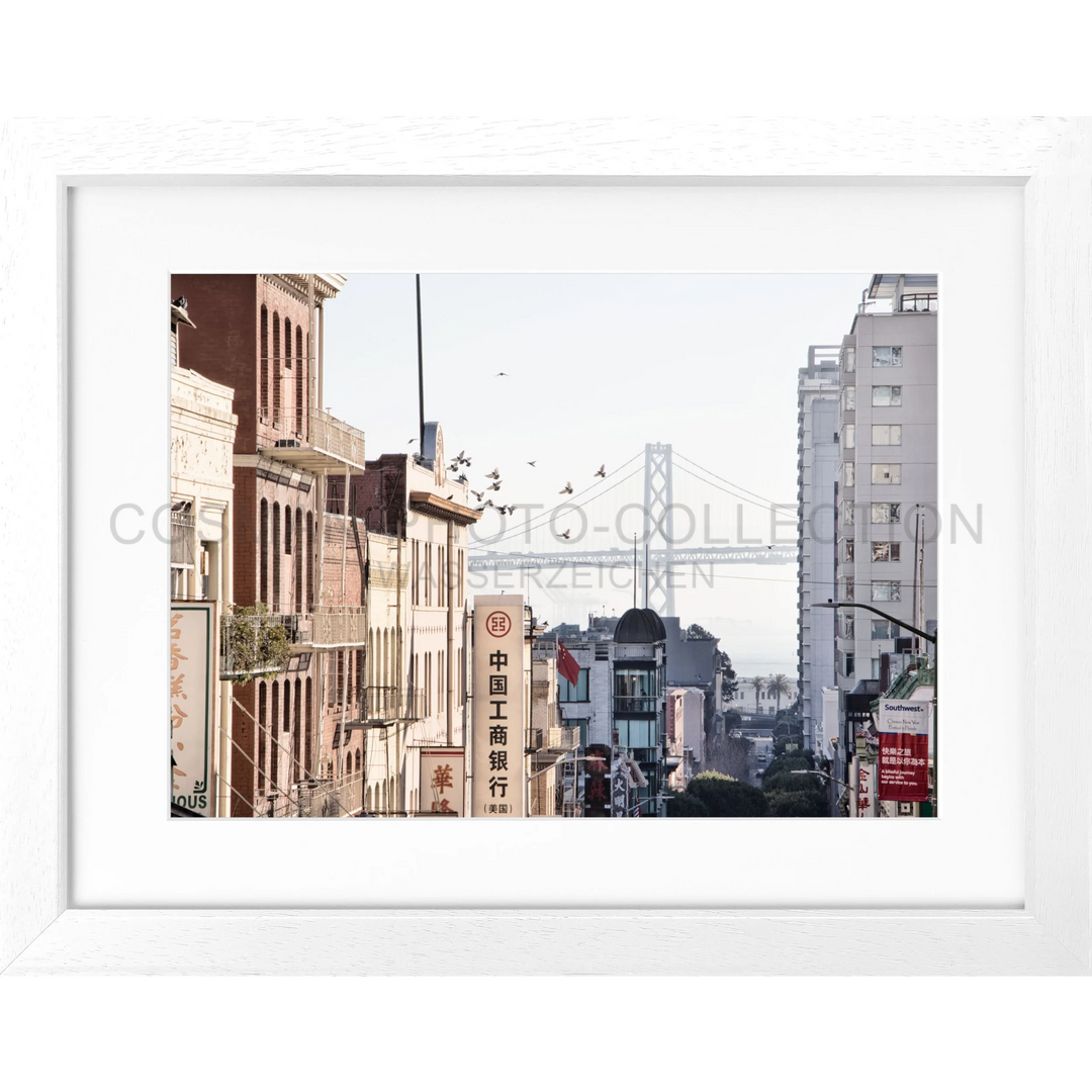 Poster San Francisco SF06 - Weiss 3cm / Motiv: farbe / S