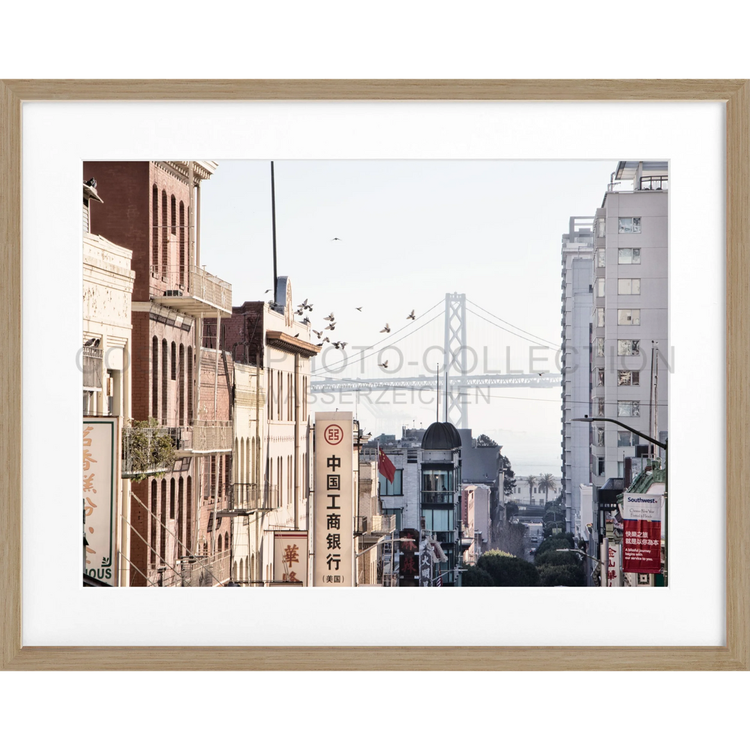 Poster San Francisco SF06 - Eiche Furnier 1.5cm / Motiv: