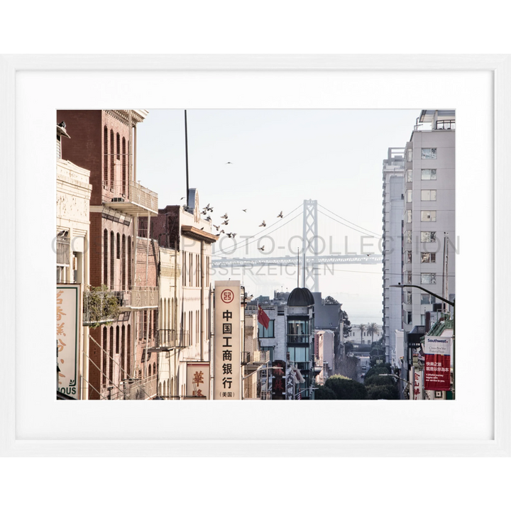 Poster San Francisco SF06 - Weiss 1.5cm / Motiv: farbe / S