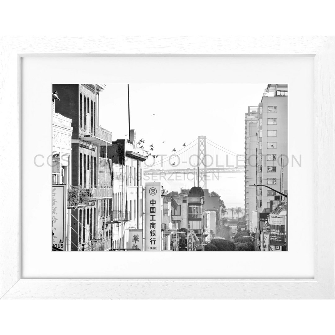 Poster San Francisco SF06 - Weiss 3cm / Motiv: