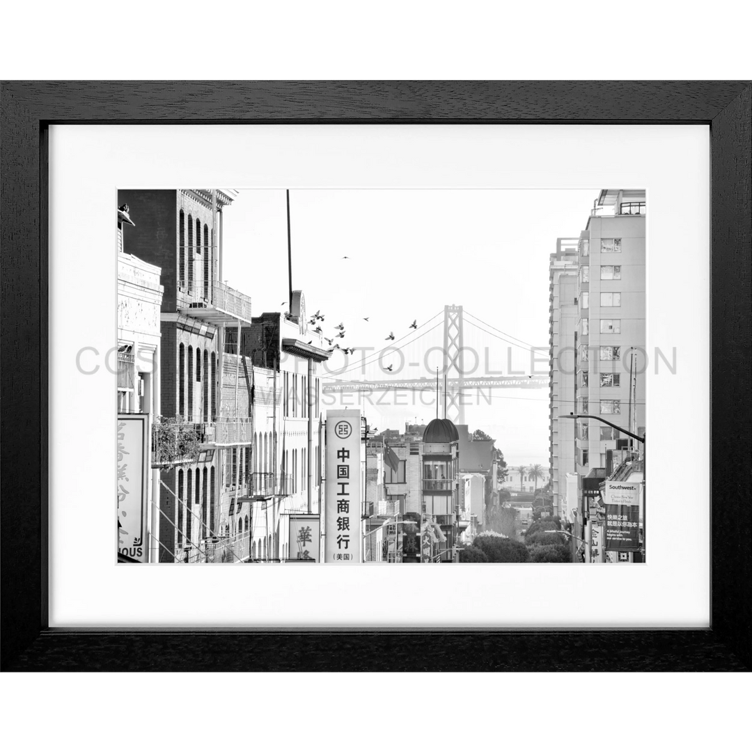 Poster San Francisco SF06 - Schwarz 3cm / Motiv: