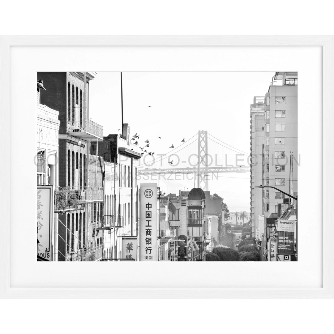 Poster San Francisco SF06 - Weiss 1.5cm / Motiv: