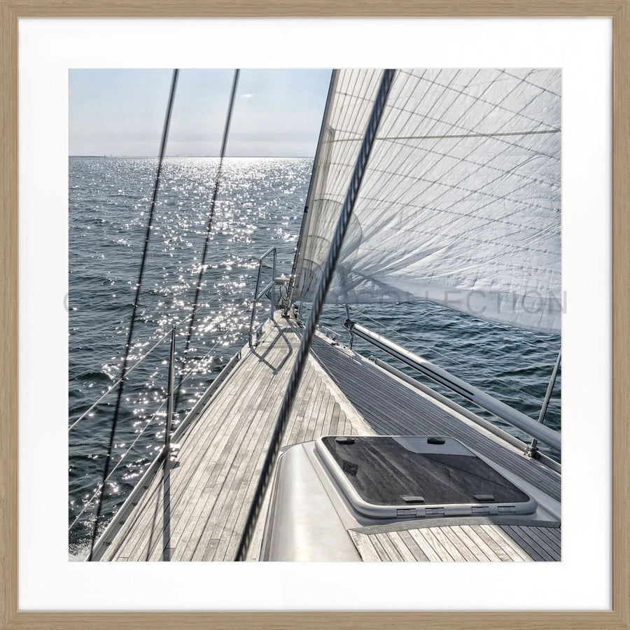 Poster Segelboot SAIL04Q - Eiche Furnier 1.5cm / Quadrat 55