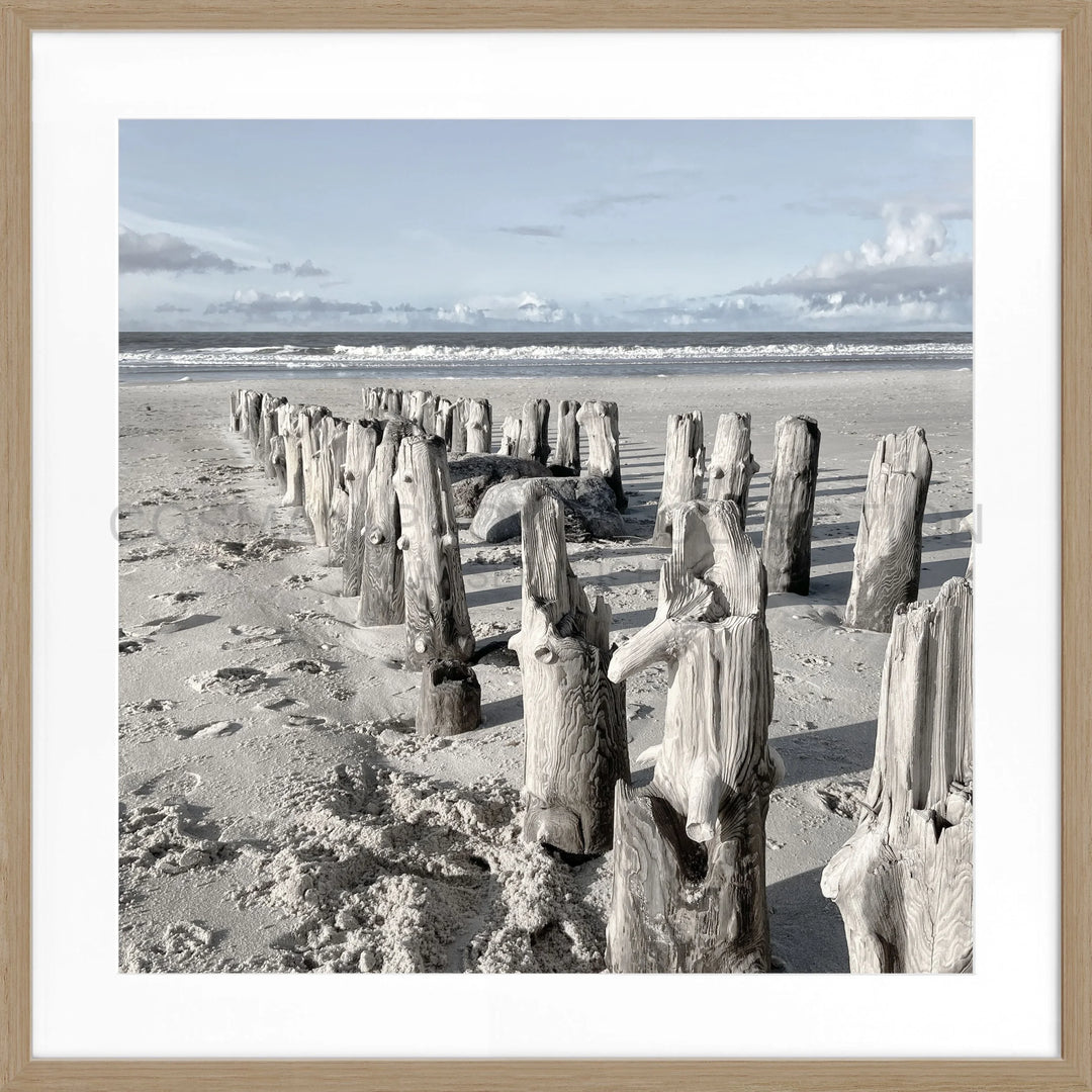 Wettergegerbte Holzpfosten am Strand für Poster Sylt Strand SY77Q