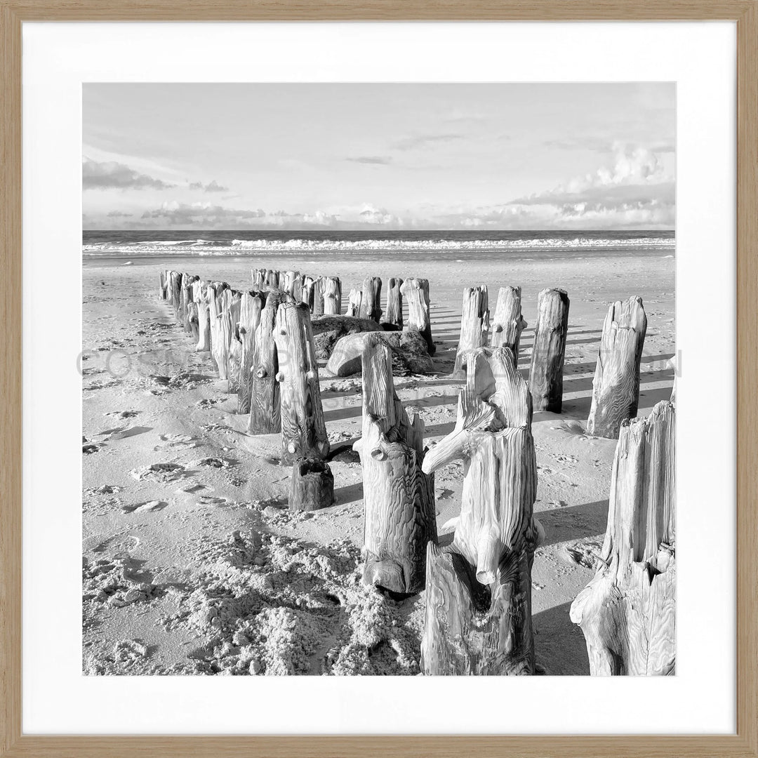 Verwitterte Holzpfosten am Strand in Schwarz-Weiß, Poster Sylt Strand SY77Q