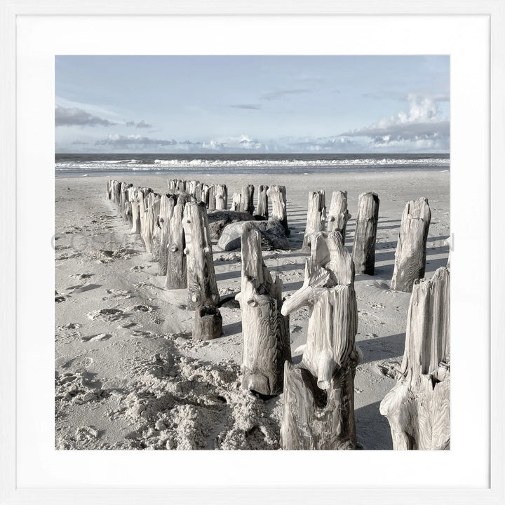 Verwitterte Holzpfosten reihen sich am Strand für Poster Sylt Strand SY77Q