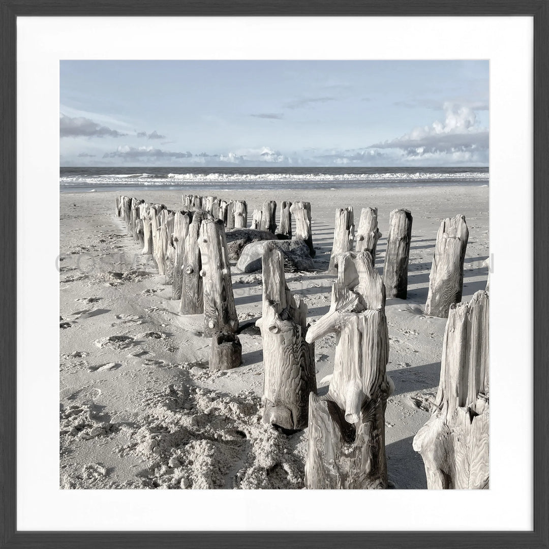 Wettergegerbte Holzpfosten reihen sich am Strand in Sylt aneinander